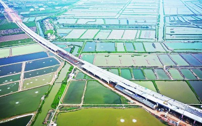 汲取百年党史智慧 为全国发展大局作出广东贡献 汲取百年党史智慧 为全国发展大局作出广东贡献