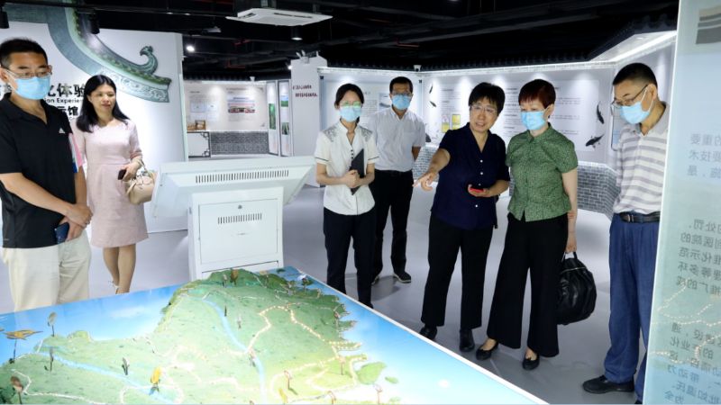 国家伟德娱乐手机客户端薛国芹一行到广东调研 国家伟德娱乐手机客户端薛国芹一行到广东调研